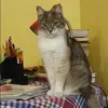Отзыв от Людмила Ильина